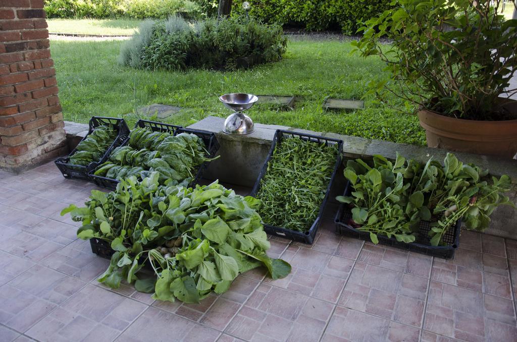 Cascina Foresto Bed and Breakfast Cossato Buitenkant foto