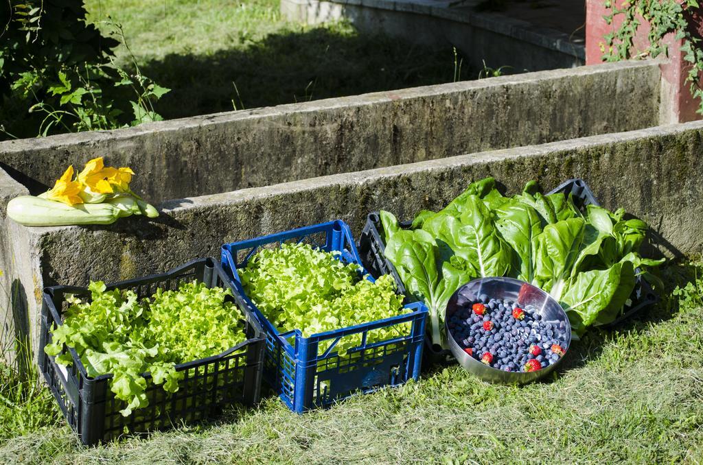 Cascina Foresto Bed and Breakfast Cossato Buitenkant foto